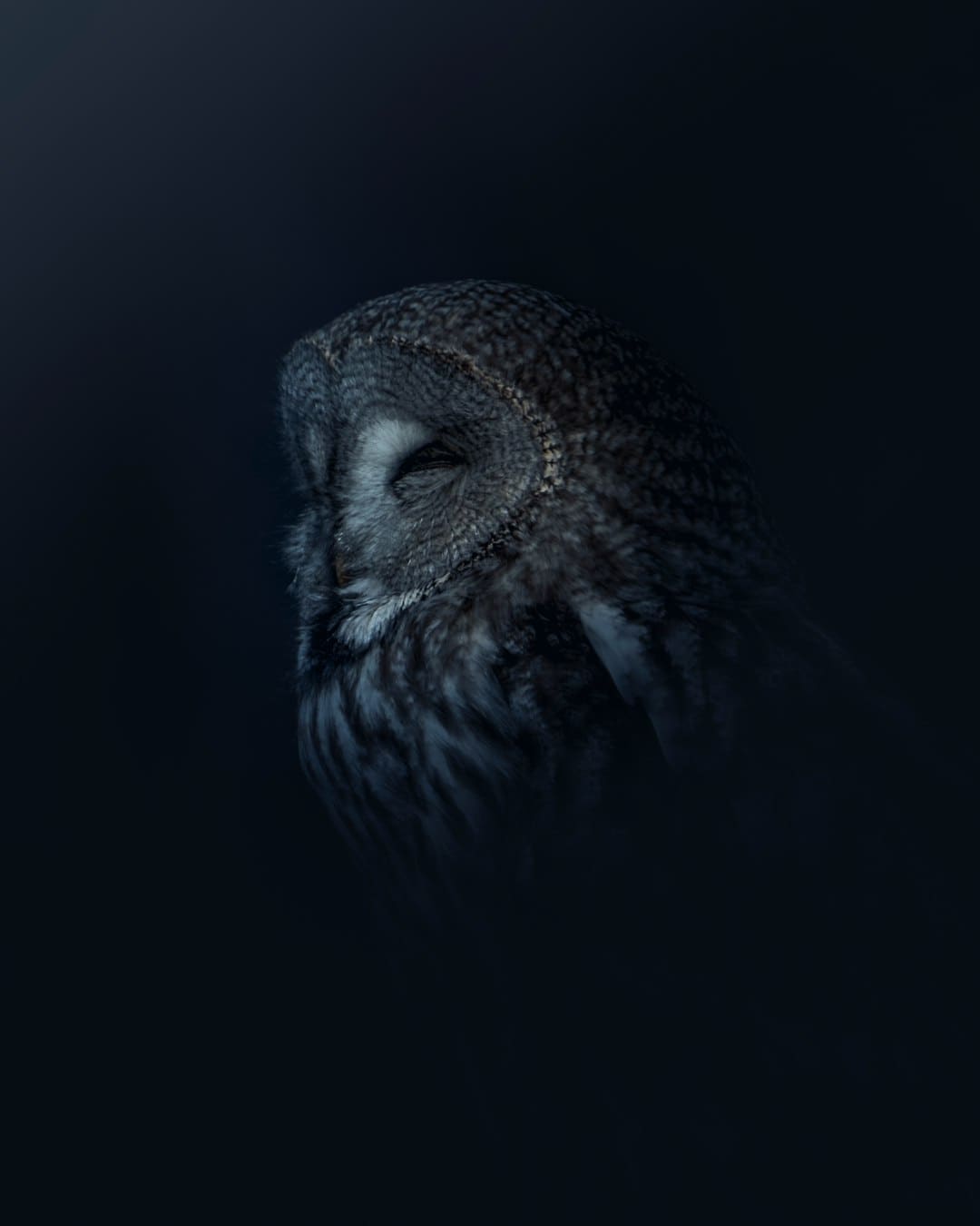 http://n.sinaimg.cn/news/transform/w600h400/20180314/epCy-fyscsmv3859081.jpg?zdy